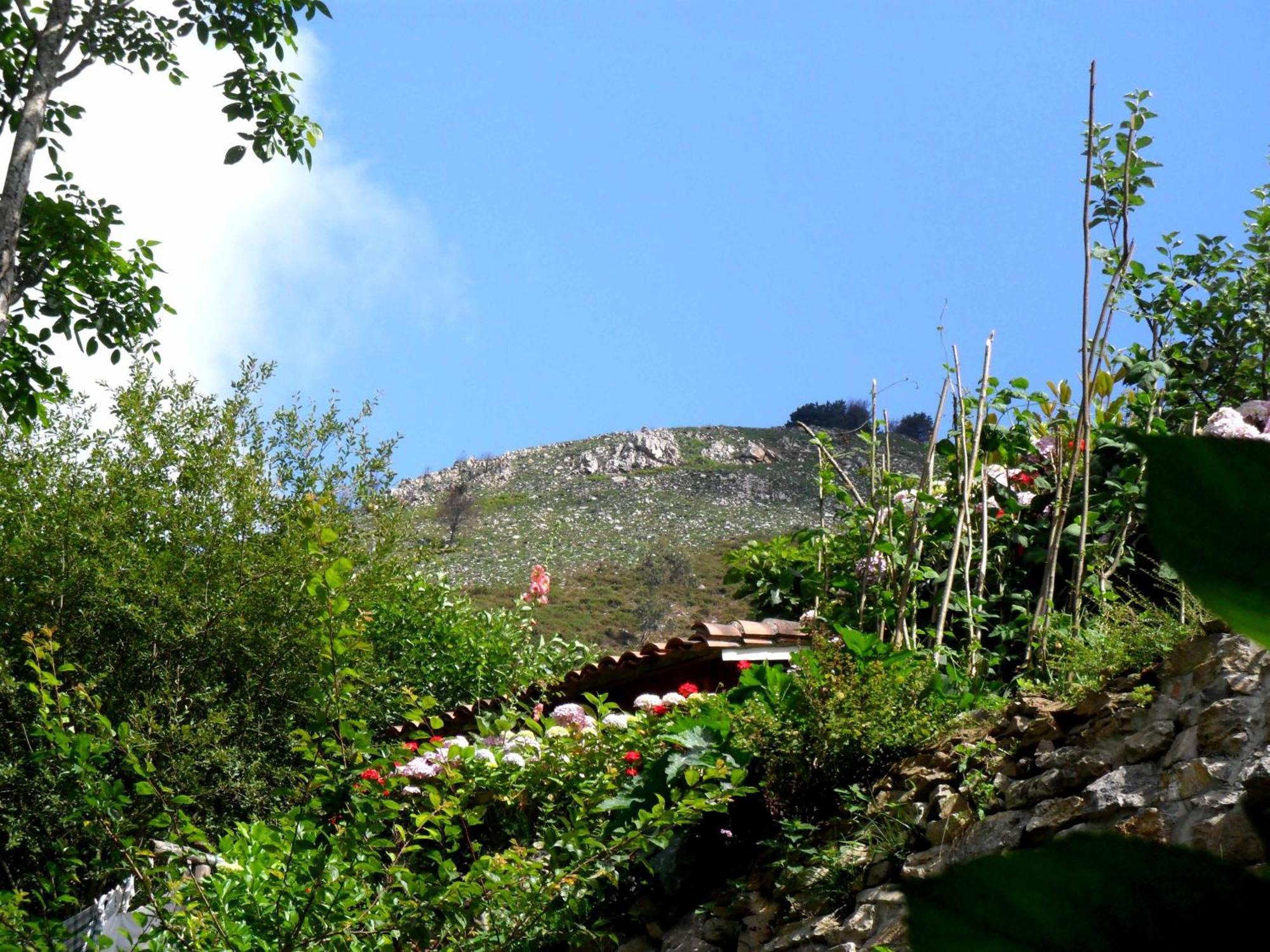 Casa Rural La Posada Del Alba Alea Buitenkant foto