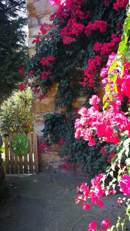 Casa Rural La Posada Del Alba Alea Buitenkant foto